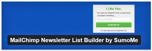 MailChimp Newsletter List Builder